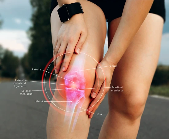 Knee Pain Louisville KY Knee Diagram